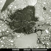 micrografia che mostra il danno dell'aggregato da reazione di silice alcalina (ASR).